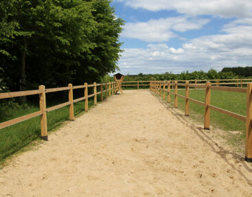 Het ultieme paddock paradise | natuurlijk paarden houden