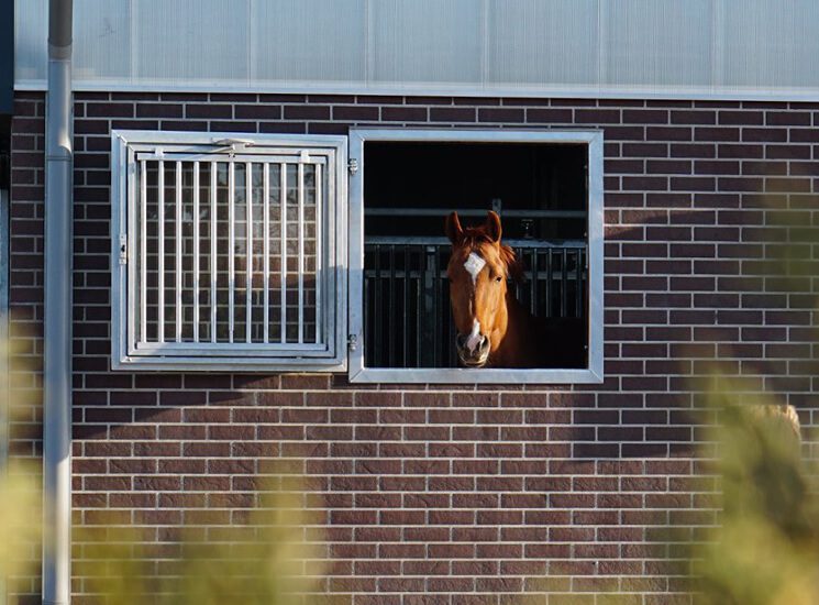 Fensterpferdestall – Boxenfenster Dreh-kipp Fensterpferdestall – Boxenfenster Dreh-kipp