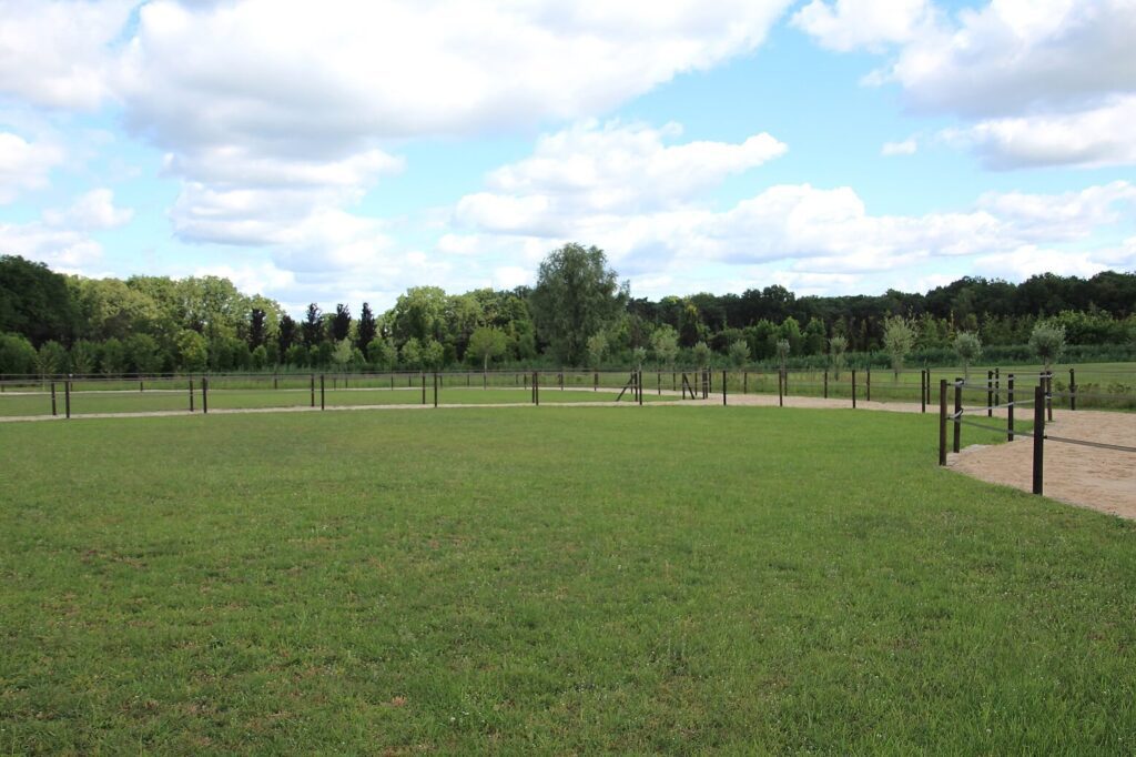 Weide paddocks - paddock paradise Weide paddocks - paddock paradise