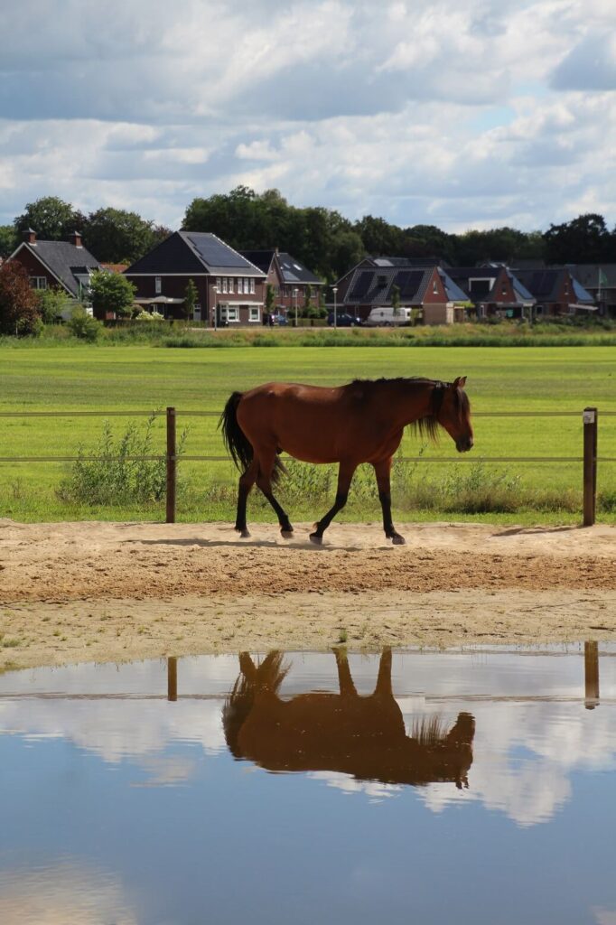 Water voorziening paddock paradise Water voorziening paddock paradise