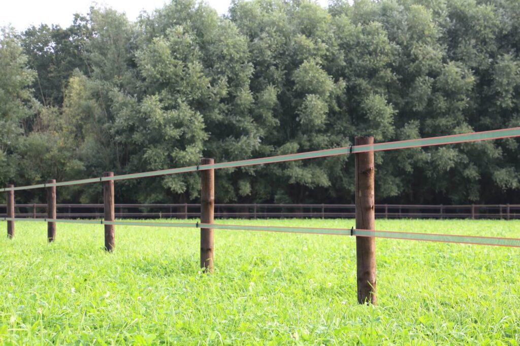 Lint omheining paddock paradise Lint omheining paddock paradise