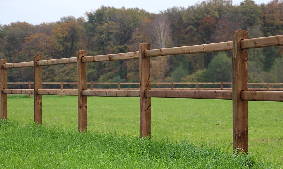 Referentie - doorsteek omheining paarden