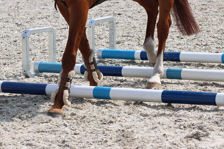 Cavaletti’s voor een effectieve training voor dressuur en springpaarden