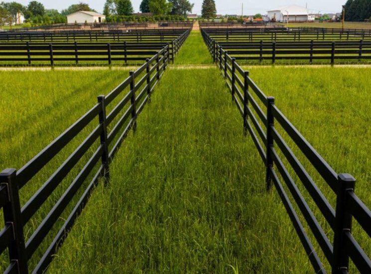 Buckley Fence häst stålstängsel Buckley Fence häst stålstängsel