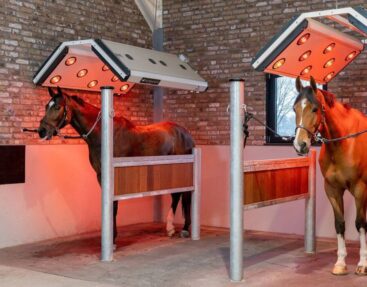 Fördelar med ett hästsolarium