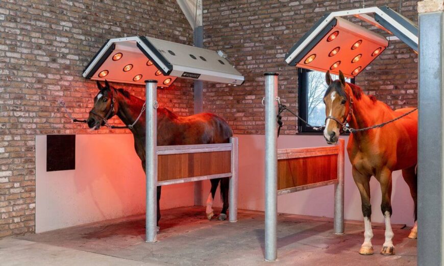 Fördelar med ett hästsolarium